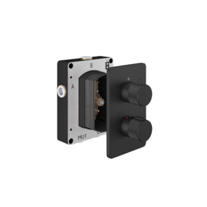 Matt Black 1 Outlet Shower Valve