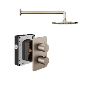 AquaSan Pro Brushed Nickel 1 Outlet Concealed Shower